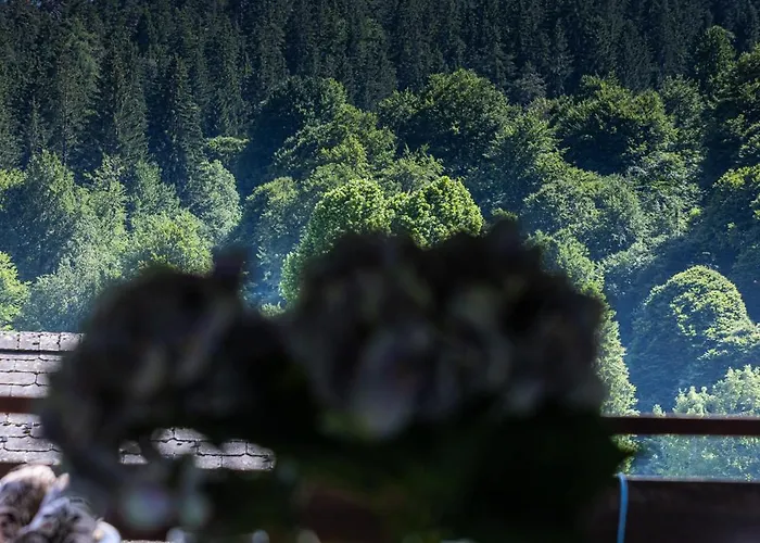 Panoramic View - Flims-laax Area Appartement Flims